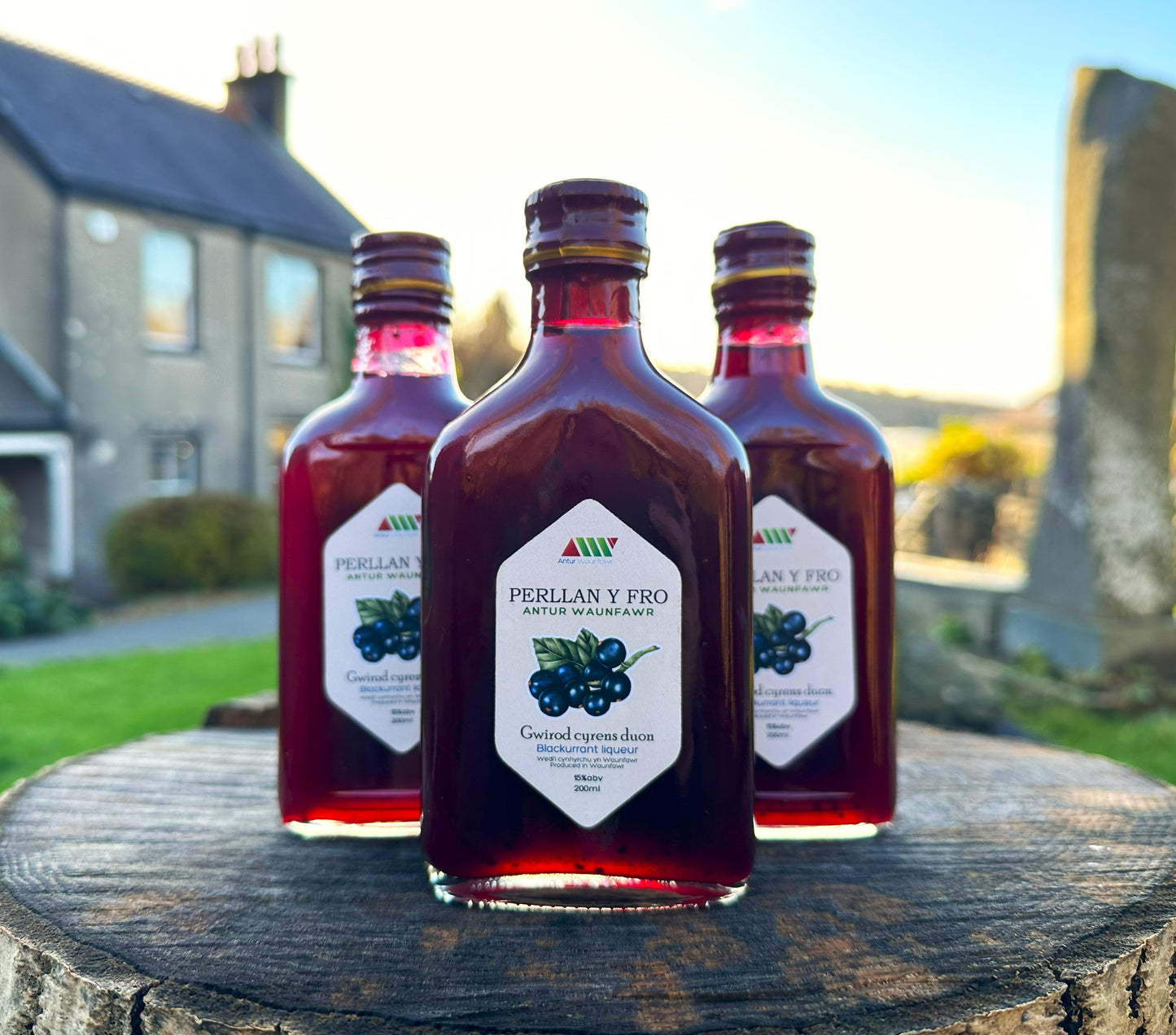 Blackcurrant Liqueur